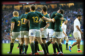 Springbok win England South Africa 2014